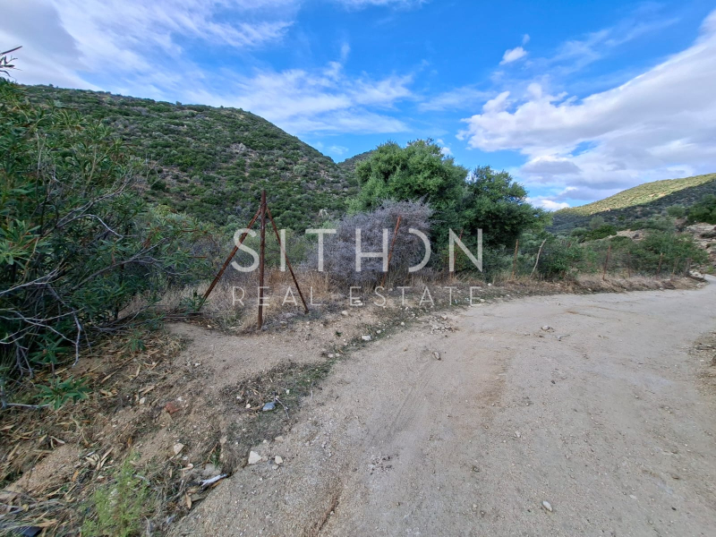 property-img