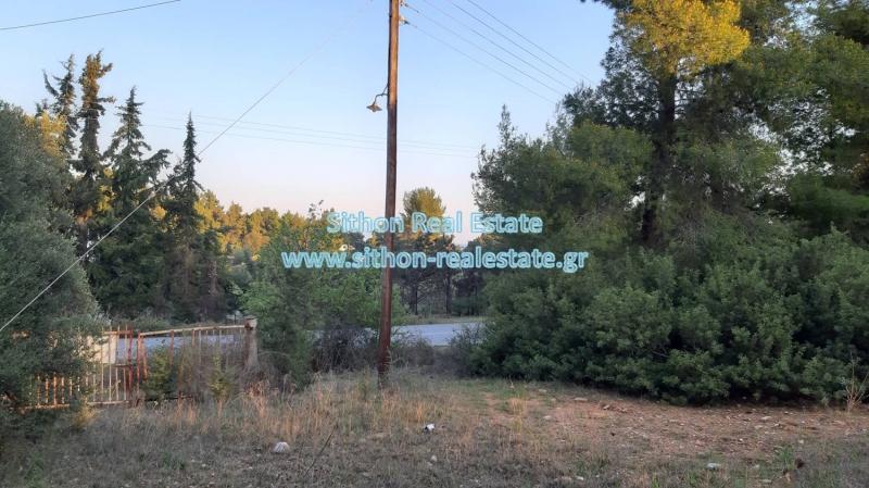 property-img